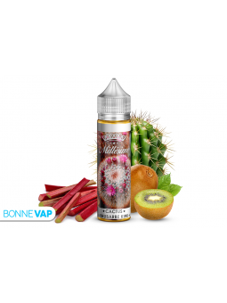 E liquide Cactus Rhubarbe Kiwi Millésime 50ml