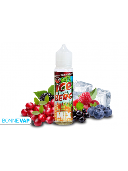 E liquide Melody Surf Mix Ice Berg 50ml