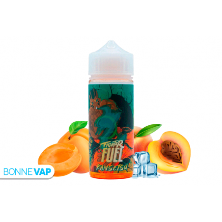 E liquide Kansetsu Fighter Fuel 100ml