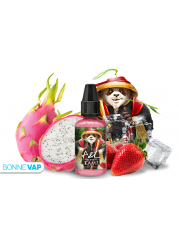 Concentré Kami Ultimate 30ML