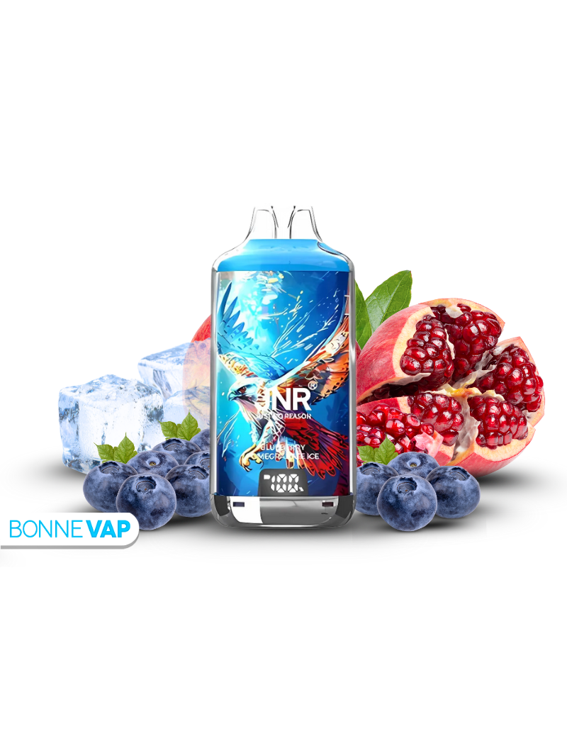 JNR Vapor Falcon Blueberry Pomegranate Ice