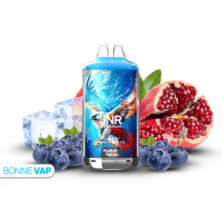 JNR Vapor Falcon Blueberry Pomegranate Ice