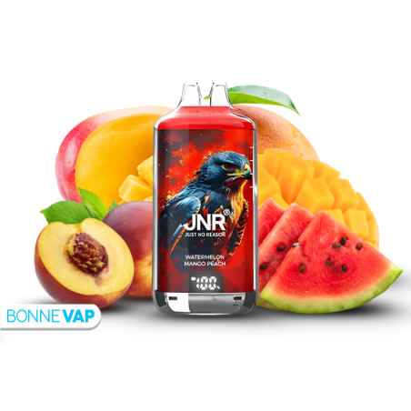 JNR Vapor Falcon Watermelon Mango Peach