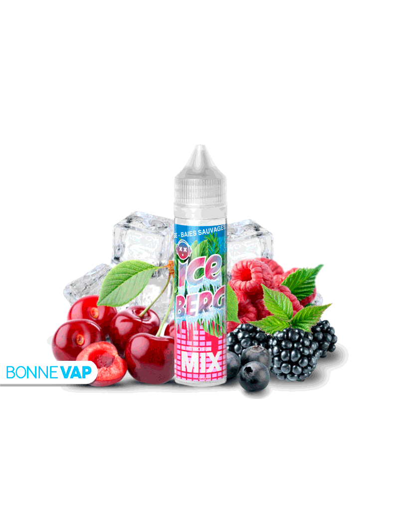 E liquide Electro Fun Ice Berg Mix 50ml