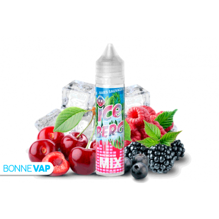 E liquide Electro Fun Ice Berg Mix 50ml E liquide Electro Fun Ice Berg Mix 50ml