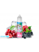 E liquide Electro Fun Ice Berg Mix 50ml