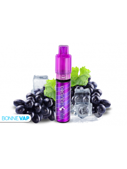 Starter Raisin Glacee - FUSION POD