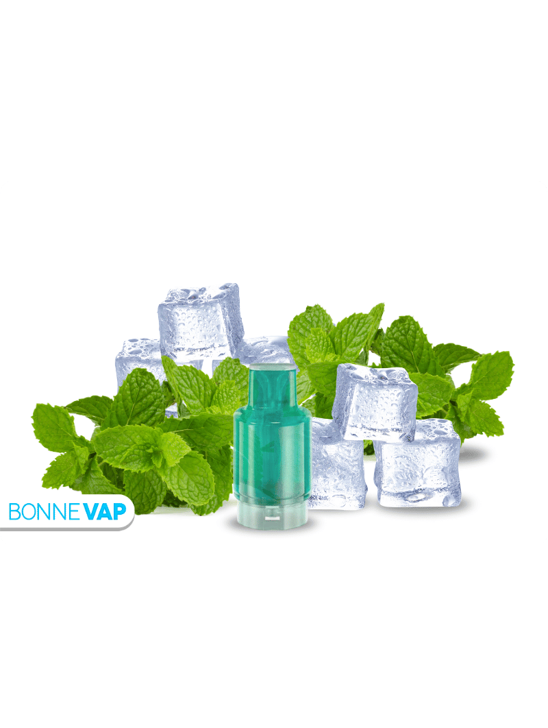 CARTOUCHE MENTHE FRAICHE | WPUFF FUSION