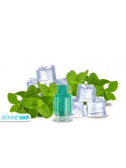 Cartouche Menthe Fraîche - WPUFF FUSION