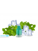 CARTOUCHE MENTHE FRAICHE | WPUFF FUSION