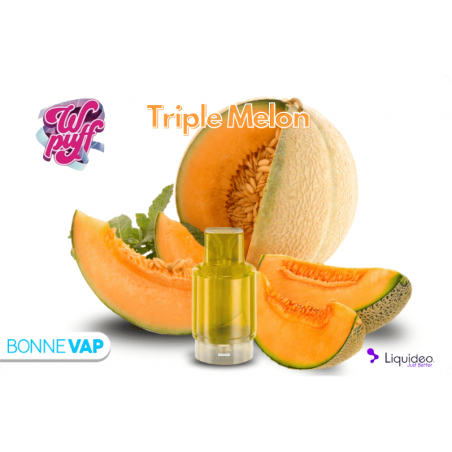 CARTOUCHE TRIPLE MELON | WPUFF FUSION