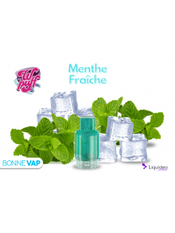 CARTOUCHE MENTHE FRAICHE | WPUFF FUSION