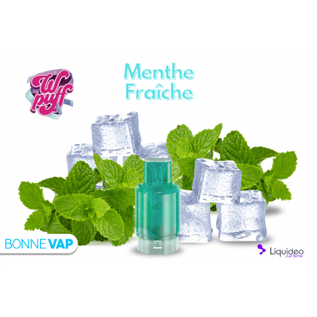 CARTOUCHE MENTHE FRAICHE | WPUFF FUSION