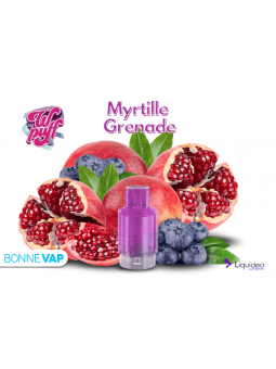 CARTOUCHE MYRTILLE GRENADE| WPUFF FUSION