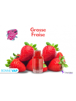 CARTOUCHE GROSSE FRAISE | WPUFF FUSION