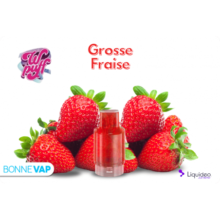 CARTOUCHE GROSSE FRAISE | WPUFF FUSION CARTOUCHE GROSSE FRAISE | WPUFF FUSION