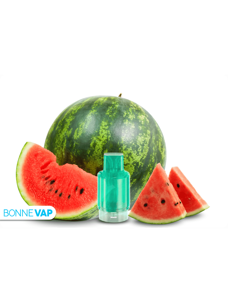 CARTOUCHE PASTOUK | WPUFF FUSION