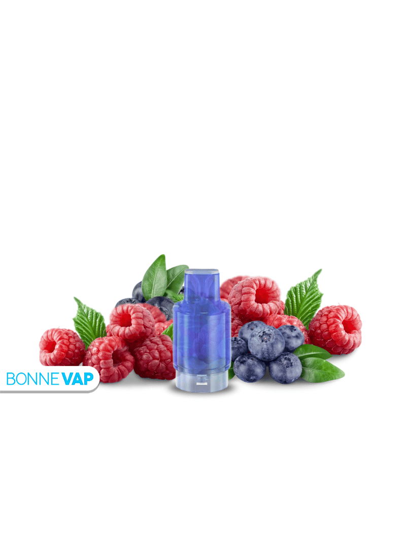 CARTOUCHE MYRTILLE FRAMBOYANTE | WPUFF FUSION