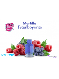 CARTOUCHE MYRTILLE FRAMBOYANTE | WPUFF FUSION