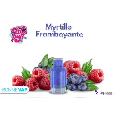 CARTOUCHE MYRTILLE FRAMBOYANTE | WPUFF FUSION