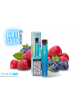 Kit ELFA PRO Myrtille Framboise Acidulée | ELFBAR (DDM Dépassée)