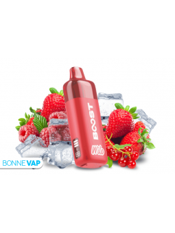 Starter Kit Puff Fruits...