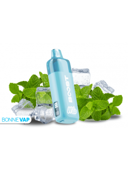 Starter Kit Puff Menthe Fraîche - WILO BOOST