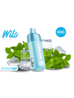 Starter Kit Puff Menthe Fraîche - WILO BOOST
