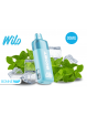 Starter Kit Puff Menthe Fraîche - WILO BOOST