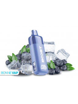 Starter Kit Puff Myrtille Glacee - WILO BOOST