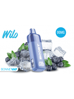 Starter Kit Puff Myrtille Glacee - WILO BOOST