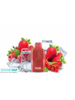 Cartouche Fruits Rouges - WILO BOOST