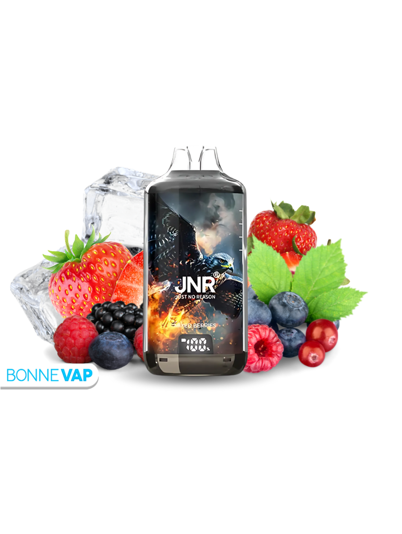 Puff Fruit Rouges - JNR X FALCON