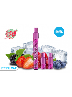 Starter Puff Fruits Rouges...