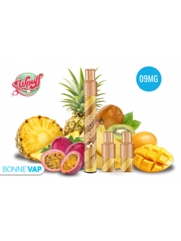 Starter Puff Panik Nan...