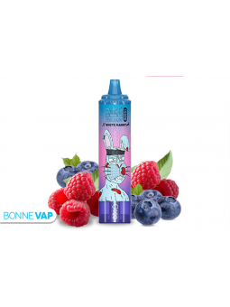 Puff Blueberry Raspberry - RANDM TORNADO 15000