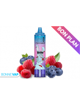 Puff Blueberry Raspberry - RANDM TORNADO 15000 - Bon Plan