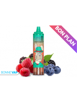 Puff Triple Berry - RANDM TORNADO 15000 - BON PLAN