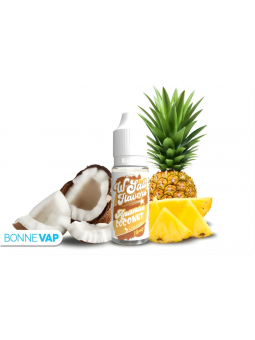 Ananas Coconut 10ml "Sels" - Wsalt Flavors