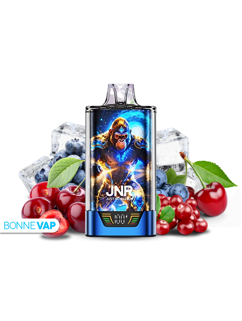 Puff Blueberry Cherry Canberry - Gorilla X JNR