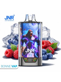 Puff Blueberry Sour Raspberry - Gorilla X JNR avec le logo