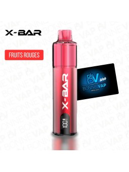 Starter Puff Fresh Berry - X-Line