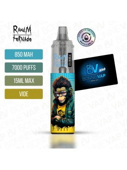 Puff "A Remplir" - RandM X Tornado