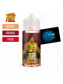 Hogano 100ml - Fighter Fuel
