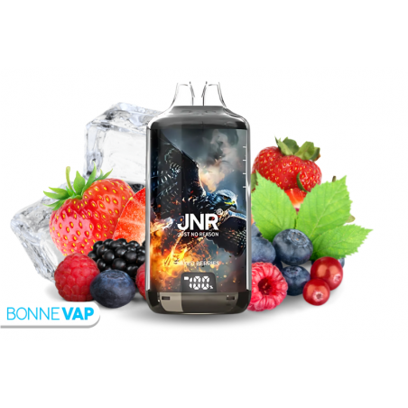 Puff Fruit Rouges - JNR X FALCON