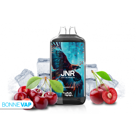 recharge veev prix JNR Falcon 16000 Mango Passion Fruit – 24Vapotage main image 1