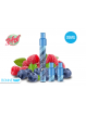 Starter Puff Myrtille Framboyante - WPUFF 2.0 - 09mg