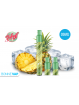 Starter Puff Ananas Glacée -  WPUFF 2.0 - 09mg