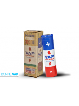 Accu 18650 300mAh - VAP PROCELL