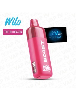Starter Puff Fruit du Dragon - Wilo Boost